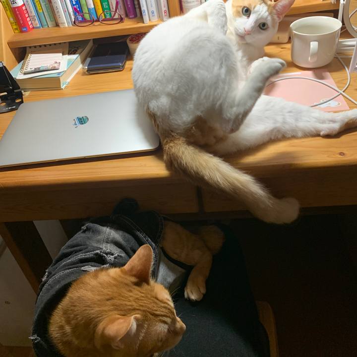 7c1b6913 c4e8 4b1f 8e4d 20986cbee88c 1643320577842