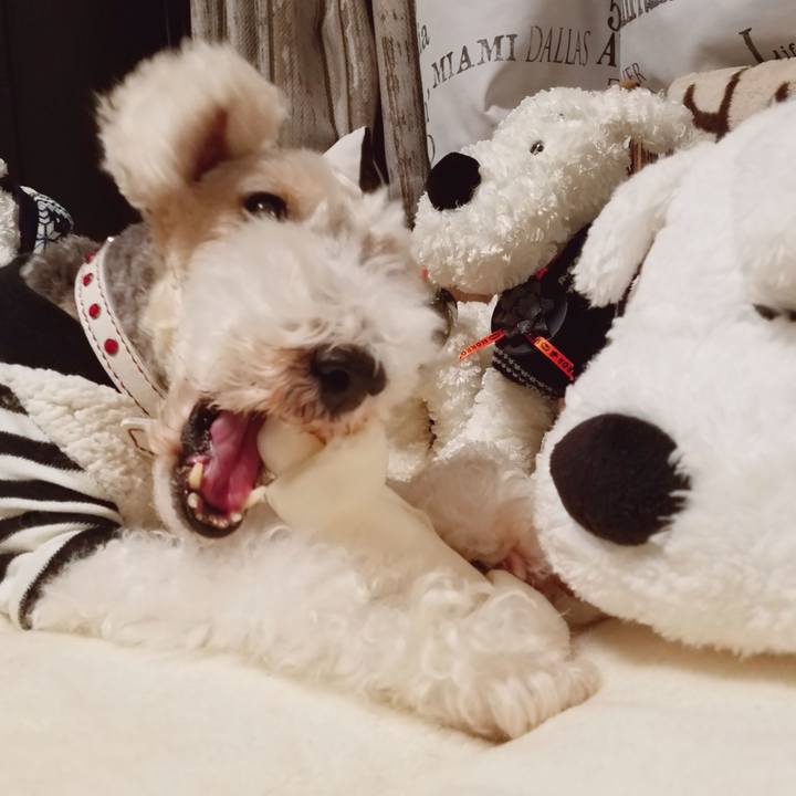 7c1bdf1f a465 4541 8bf1 436d2d1b62fb 1548545623469