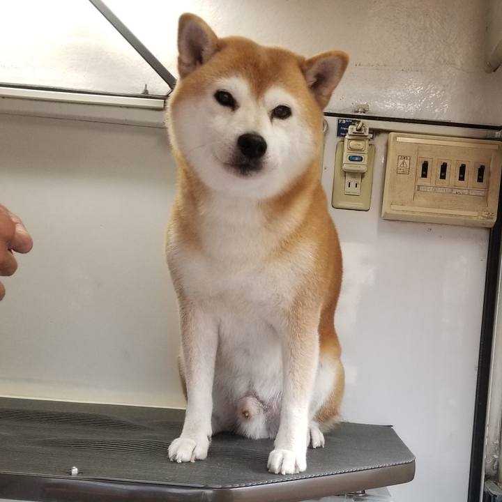 7c1c0ffe 620e 49d7 add3 d4816f4238f2 1631071609628