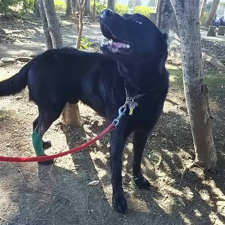 7c1c3f80 520f 4c54 b14a b6d7c5c3ce47 1691808617589