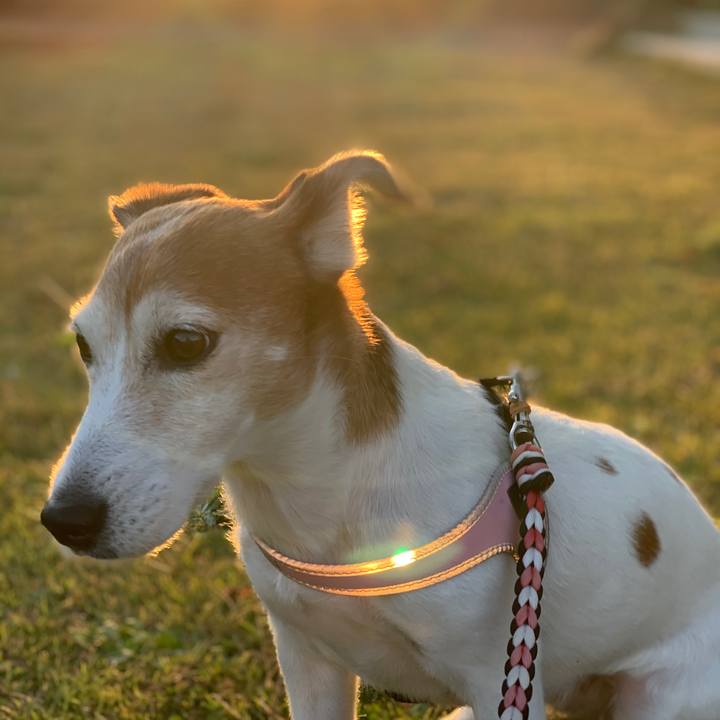 7c1c9f36 2a2e 4264 9368 d2a277ab701c 1619149340226