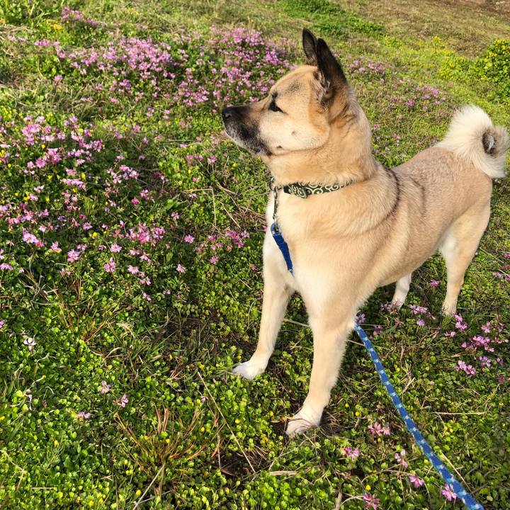 7c1ce258 930e 4069 990c eccef4828971 1586258731876