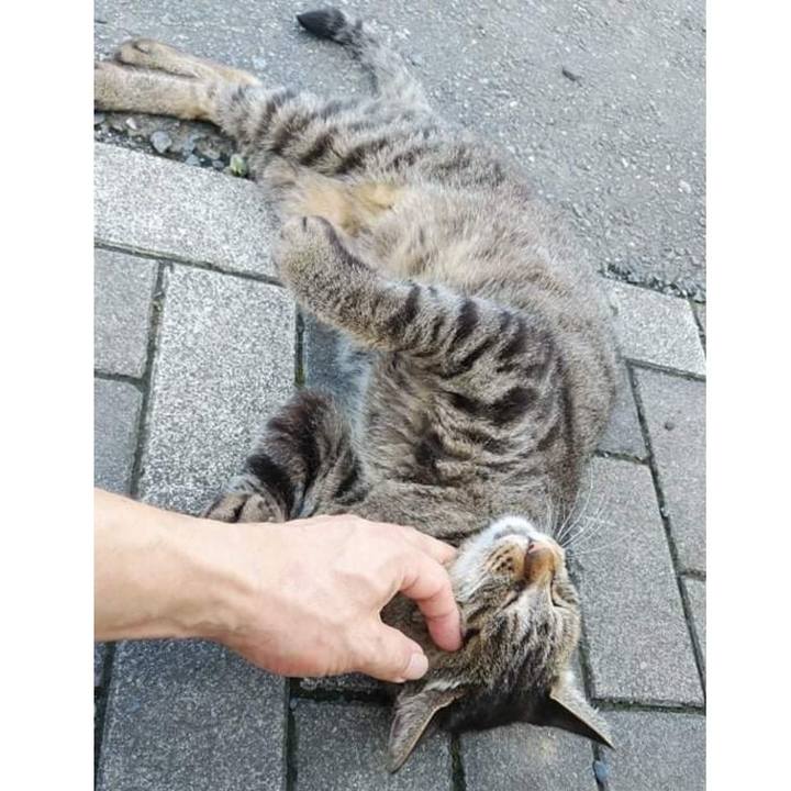 7c1ce68c b28e 4d9e 8fed 86484c4194b8 1626405148613