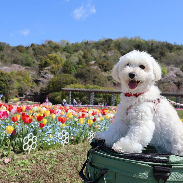 7c1ce76b bef2 4f57 a9af 3a77b44c48e0 1775884606806