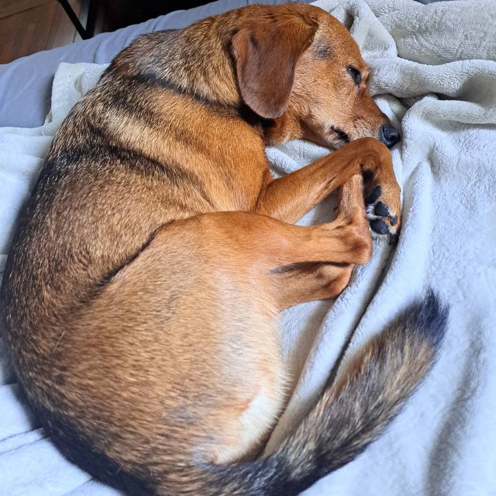 7c1cf201 5532 46df 9d40 9453a2710f21 1759668468139