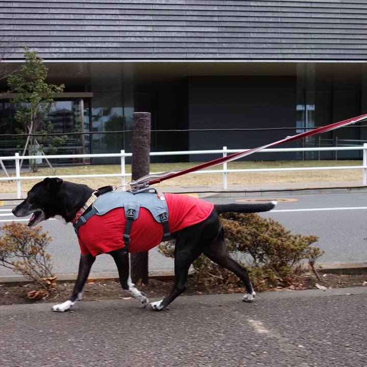 7c1d1684 e78f 49ab 94b8 dba849f1edc4 1736129943026