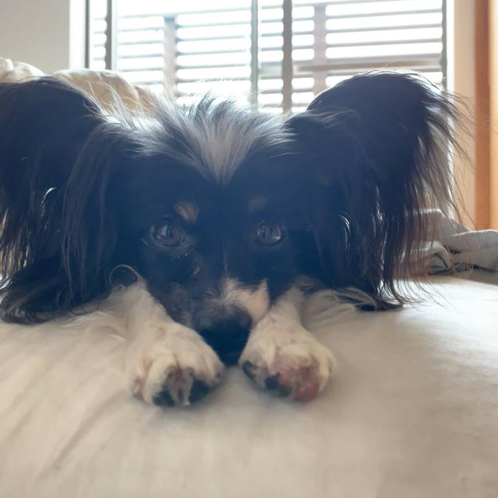 7c1d4689 04a7 4048 99bc 04b1e7b915cb 1559433898635