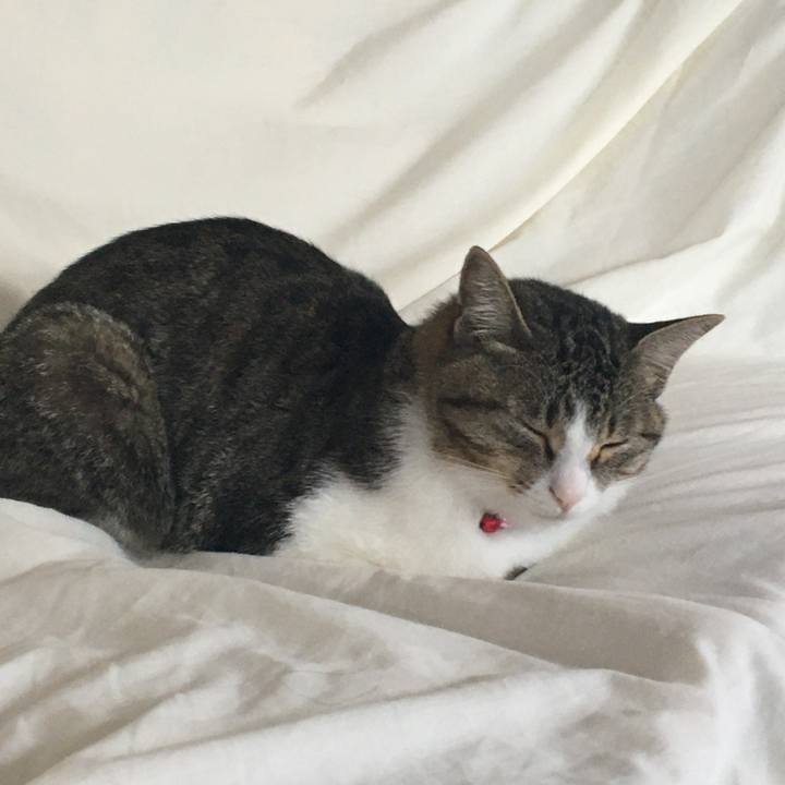 7c1d52d0 e51e 4172 84ba 0104537be89e 1659741314639