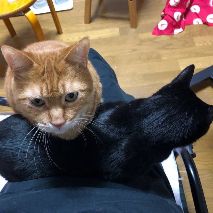 7c1d868c bd70 4870 8f35 802723d58aa1 1702727448160