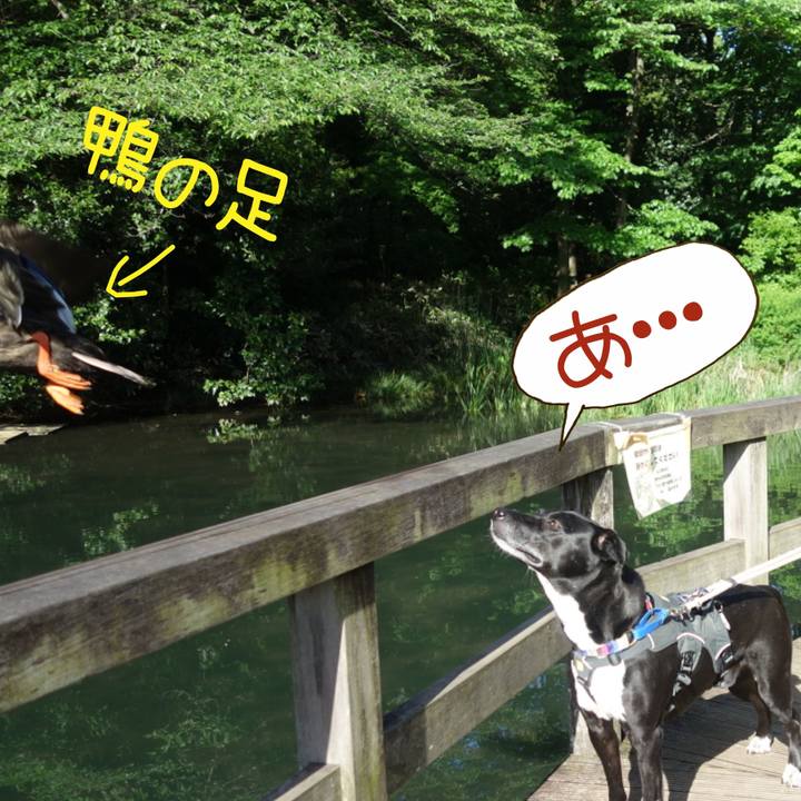 7c1da8d5 74e2 4ad9 84ac c6c2dd892f09 1651280576697