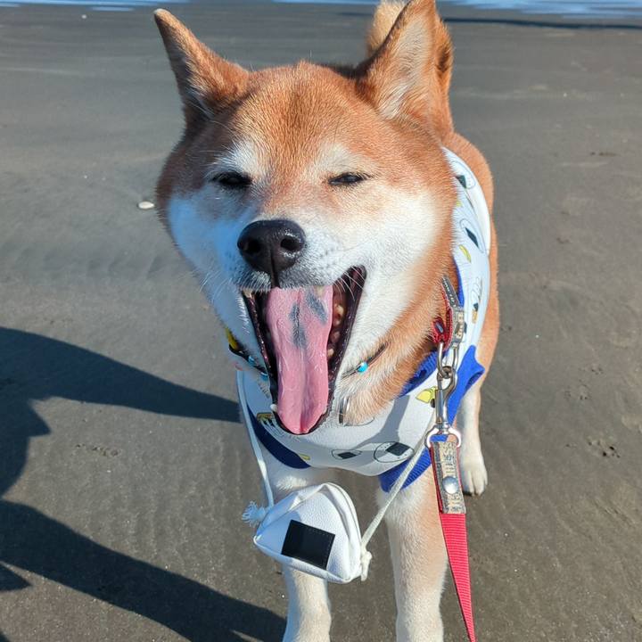 7c1db2e9 42ca 4802 badf c6e71a7ff018 1773475385106