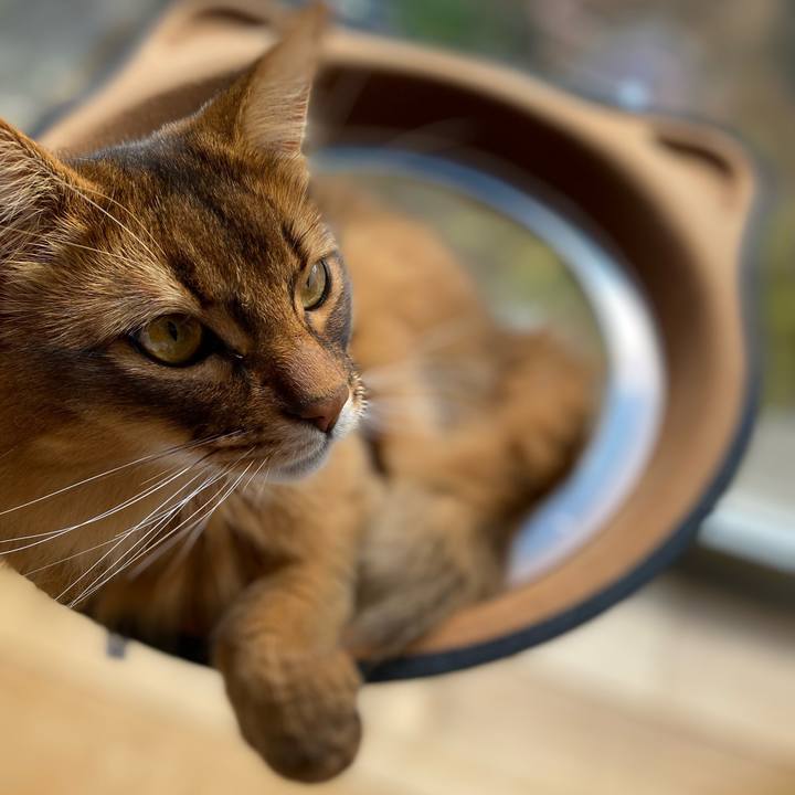 7c1dd33b c3d0 4b08 9d4c 1e758494de5e 1645932222180