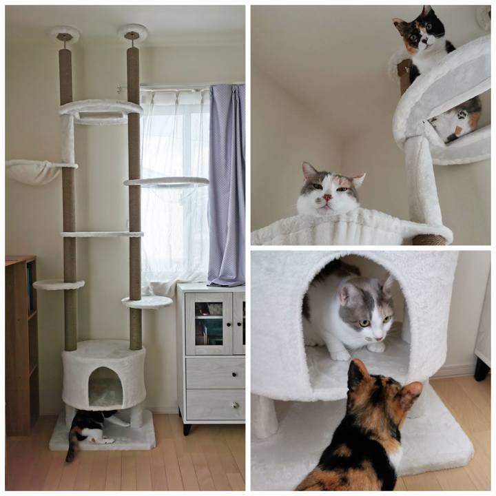 7c1e12b9 95cc 48f6 ade2 03833c5737e2 1628482193293