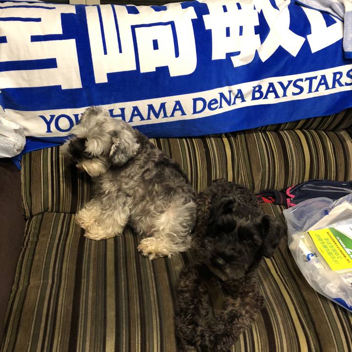 7c1e412b 5acd 4668 bbbf eea7d2c84a3c 1536319100508