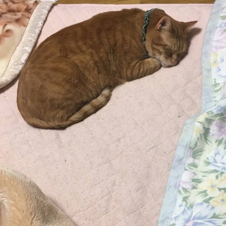 7c1e4930 cb3f 4e11 ba42 889d00b20b2e 1546704629916