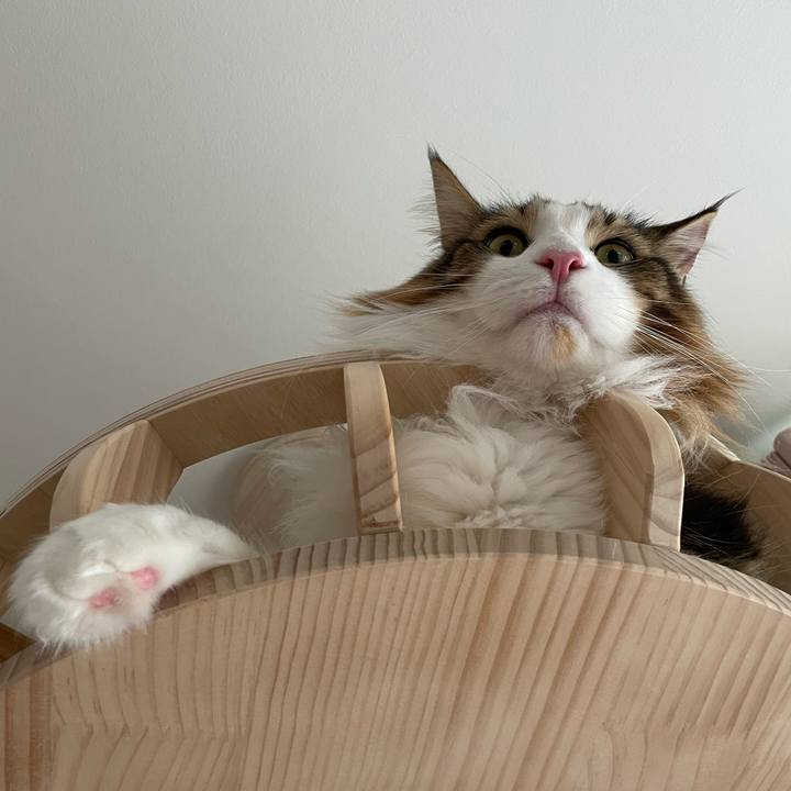 7c1e49cb c3b3 4371 a069 936377c6f2e2 1658037098878