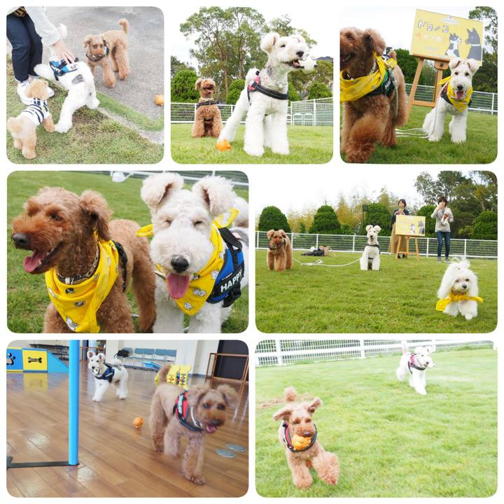 7c1ea6b7 863a 4451 92b0 37c015a335ba 1539440605054