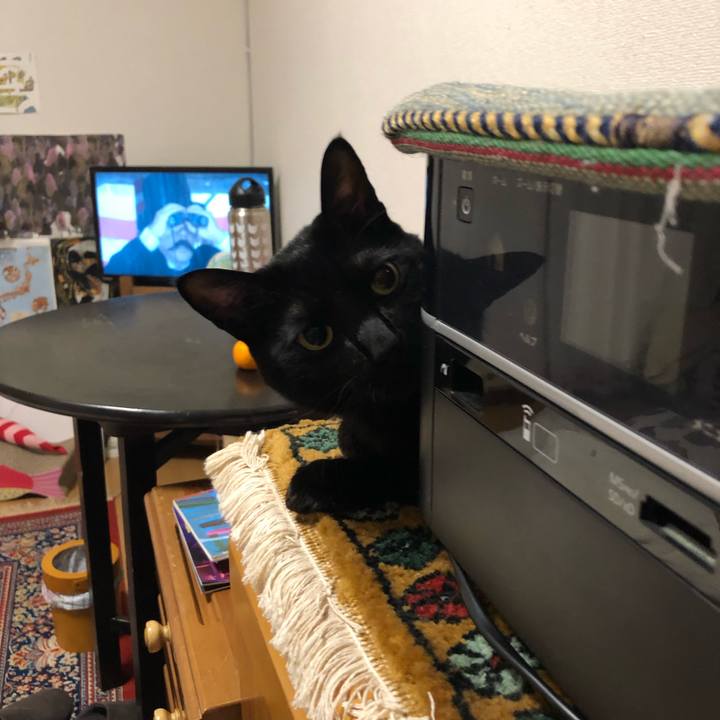 7c1edbc9 25fd 4ecb 997d 76cc28551bbb 1546779200054