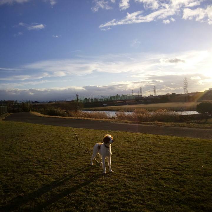 7c1ef6d0 5e98 49d8 a2f0 a8bbbb2a2e21 1514969136520