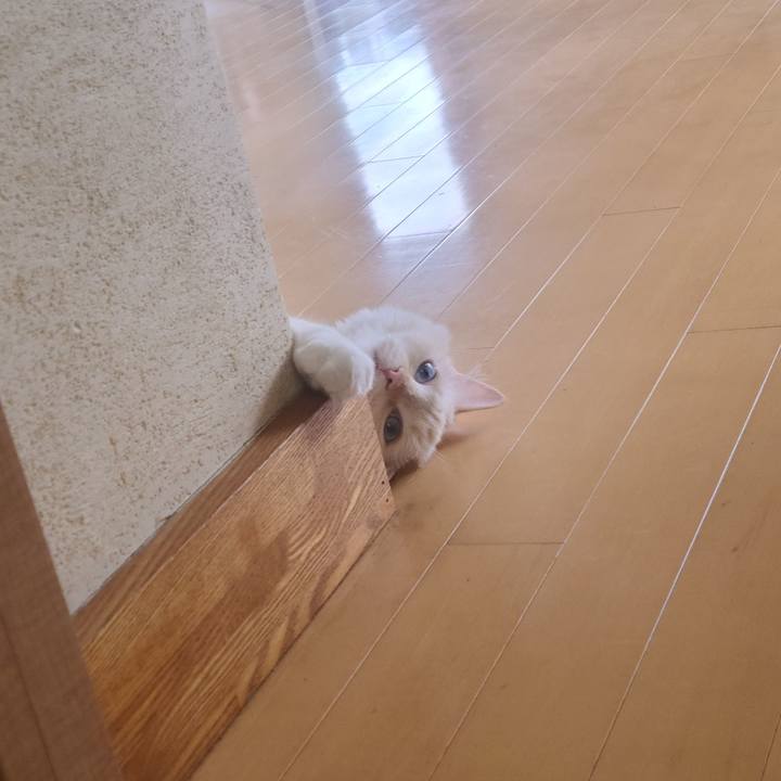 7c1f3217 ca73 4cce ae3b e0eee35f6e3b 1689641053497