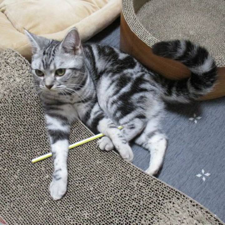 7c1f4bd9 b997 4863 b1cd f5440912313c 1541898489288