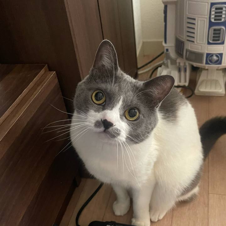 7c1f4d1b 2914 4fb7 aca1 e36f7fffafff 1715815044655