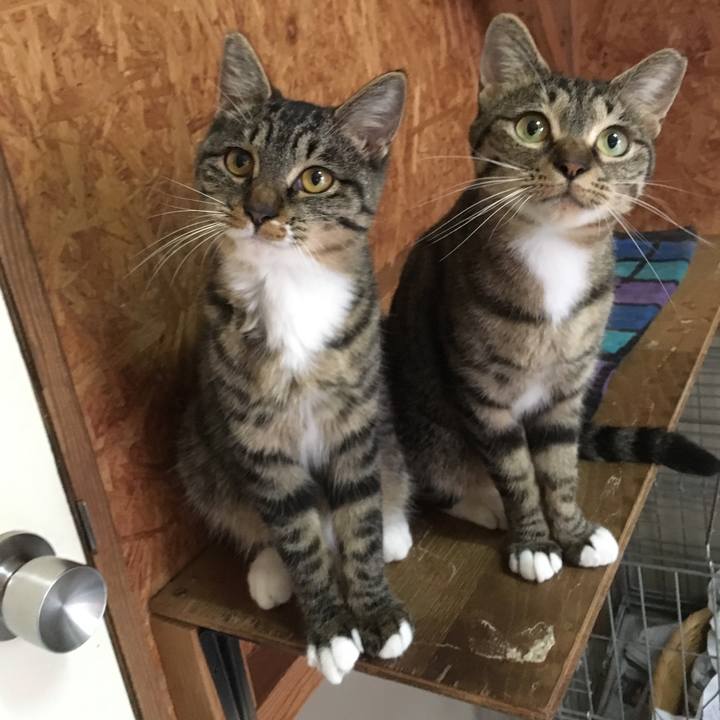 7c1f8910 a92e 43cb a108 e9c3e81605bd 1564732694331