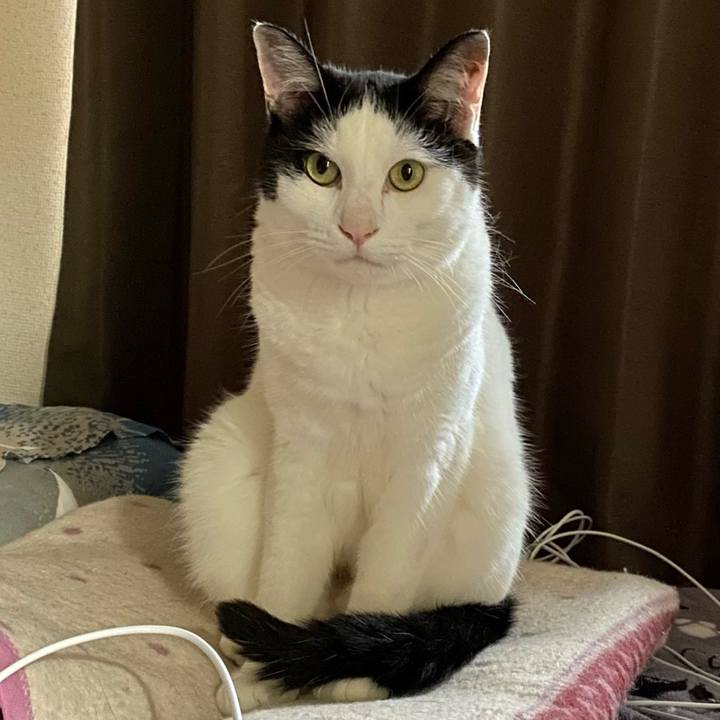 7c1f9d76 3ce4 4cbf ae0e 0dab4fc434ad 1624752803159