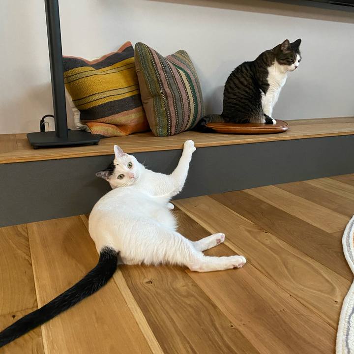 7c1fa156 29e5 4399 87bc 89b319317f91 1728122539169