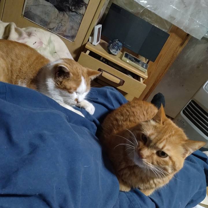 7c1fa991 573d 4d83 a076 7d209bf8c893 1765790924173