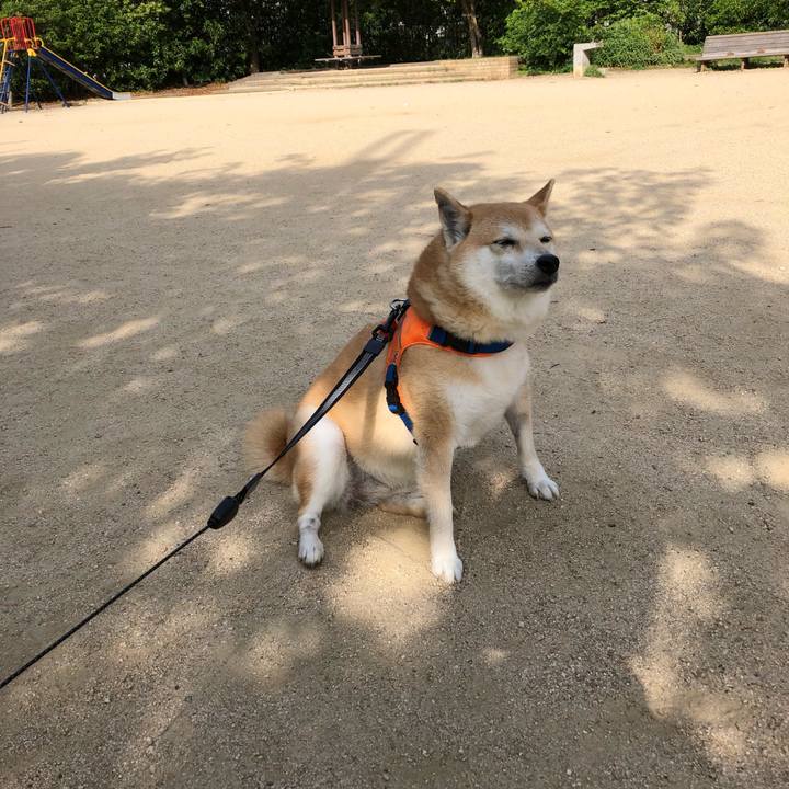 7c1fe139 16d5 427a aca1 f3f2c5ffa2d7 1560334089559