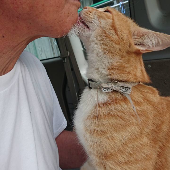 7c1febee d4d9 4a84 9922 4e1c00d7f522 1591822483768