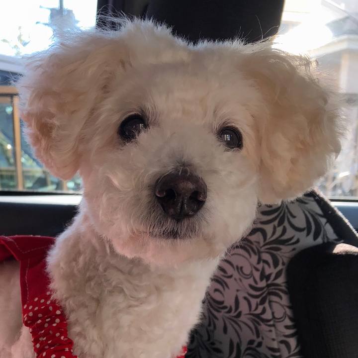 7c20113c 3ddf 421d 800a 184110a21f47 1542441433531