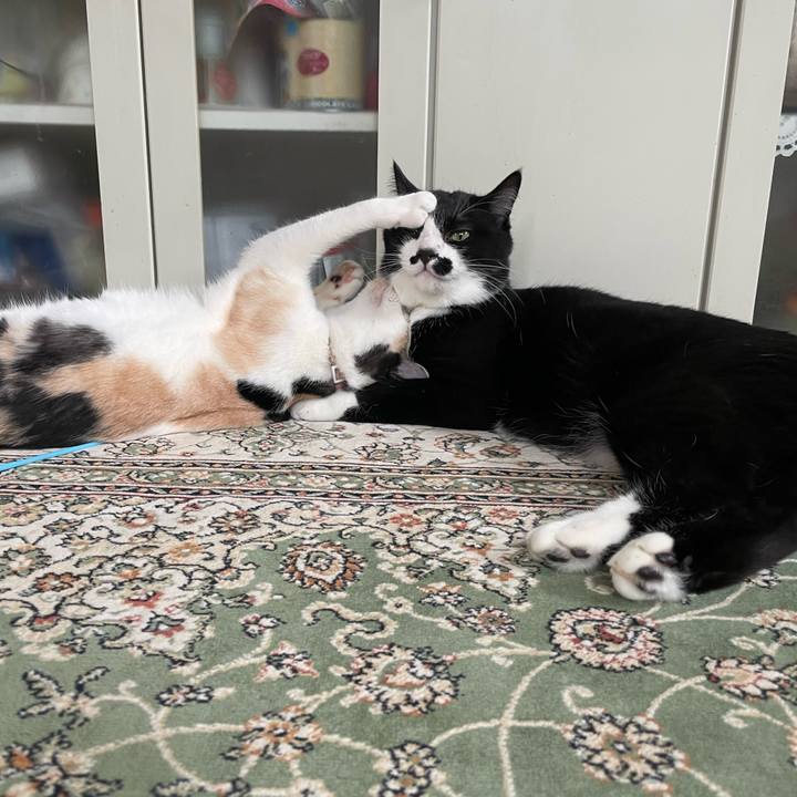 7c201a5e 9773 47cb b1d8 137ca3fcfe39 1688599107099