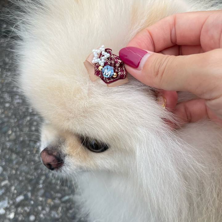 7c201da1 6e8e 41ef 944b 11aa3b771a8d 1665361171127