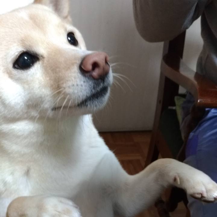 7c205071 f6b1 4bb3 89a7 450893269cc0 1576882865357