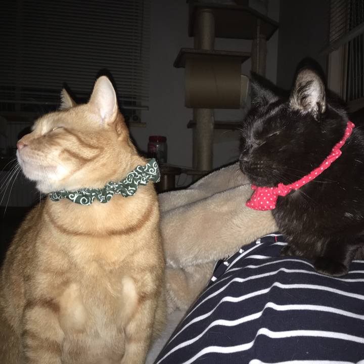 7c20546a 819f 4b6f 972d c2f293abe5fd 1553115009343