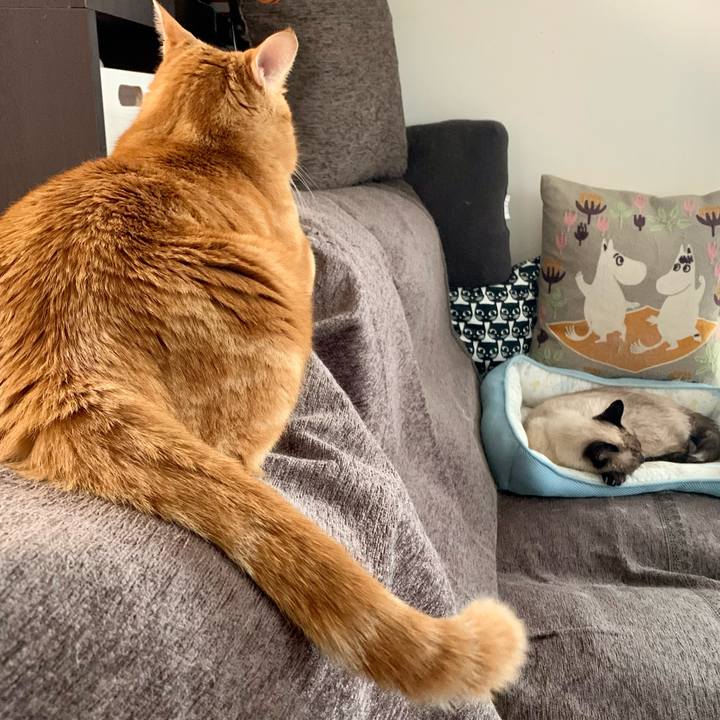 7c20650c a381 446e 817a 98d5ed6b1ad0 1631138938827