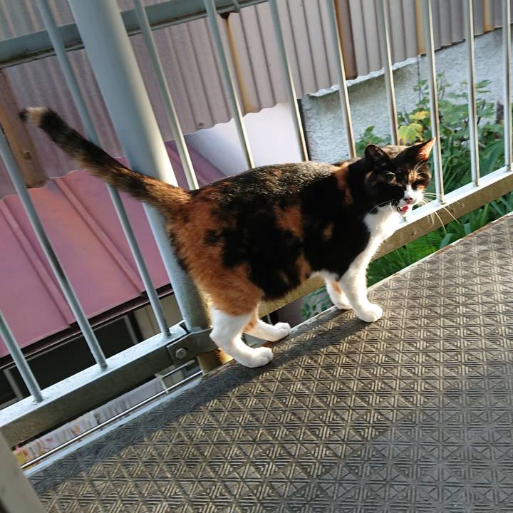 7c20736a 91da 4e9f b73b 6921d57dc42f 1665442780088