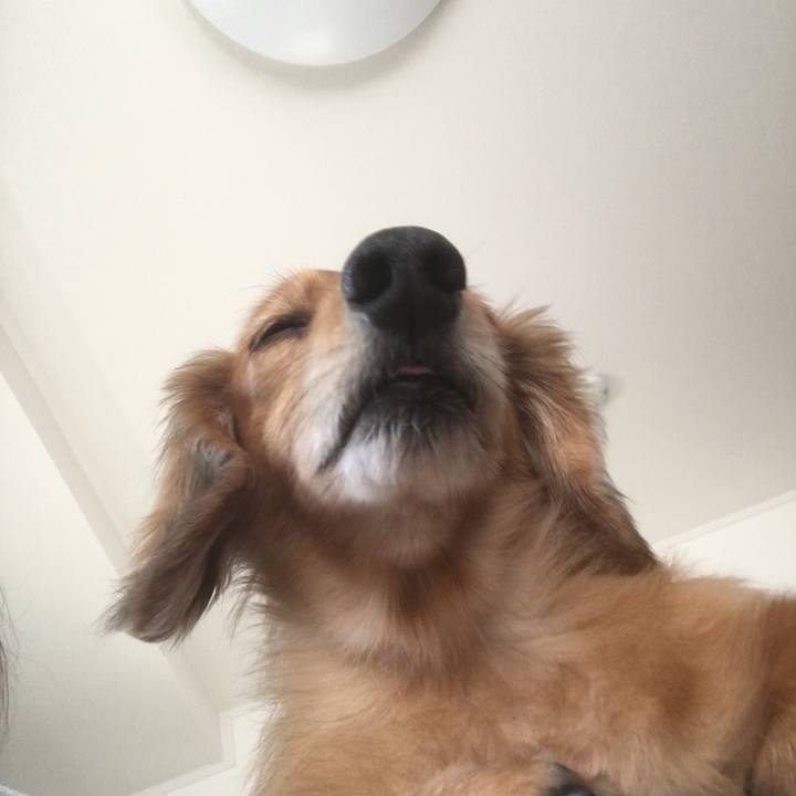 7c207a71 1fb8 40bd b467 b286b831869d 1583063826032