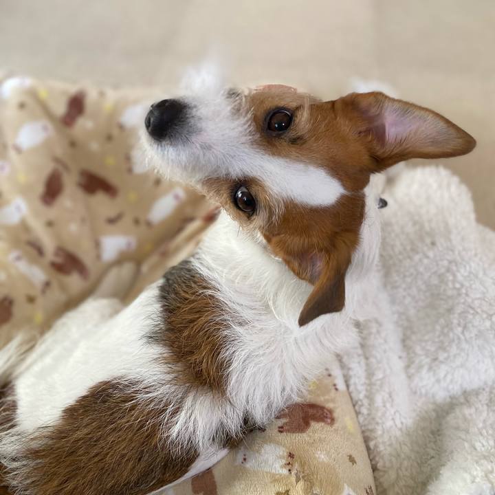 7c207ace 1828 4b67 9350 0858313ce0ec 1744425010780