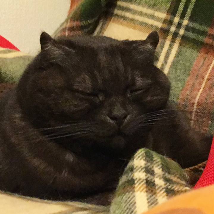 7c20b299 0ffe 4813 b44b a2125374cddd 1521127258149