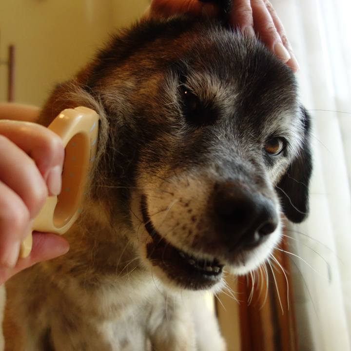 7c20b305 622a 4e83 ac8d 110006fd3b06 1642468364626