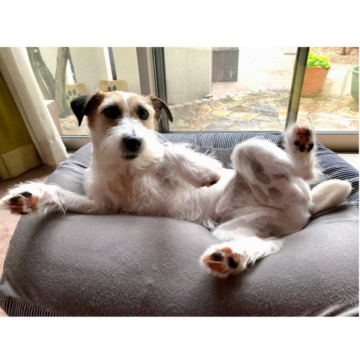 7c20bb8c f3bc 461a a948 d0feca5e4f31 1682488168606