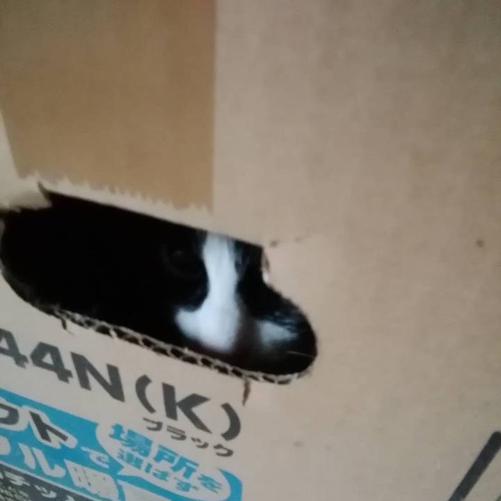 7c20e870 4603 4453 b481 1c9c02e642c1 1614571329925