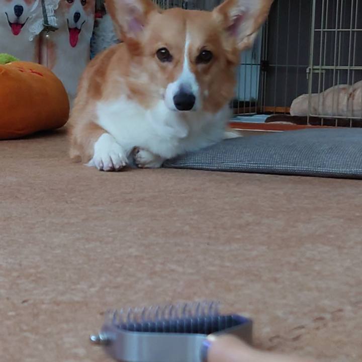 7c2107c2 7fa8 4853 9792 fcf012185b67 1769945196081