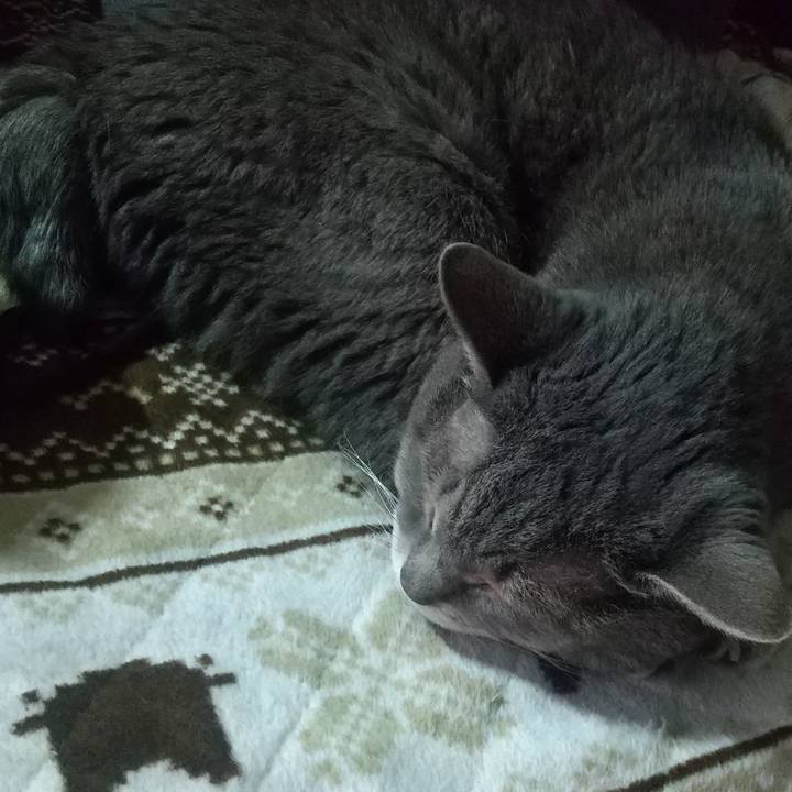 7c210d73 cf39 4ec3 816d 1b65d6013bda 1668810801215