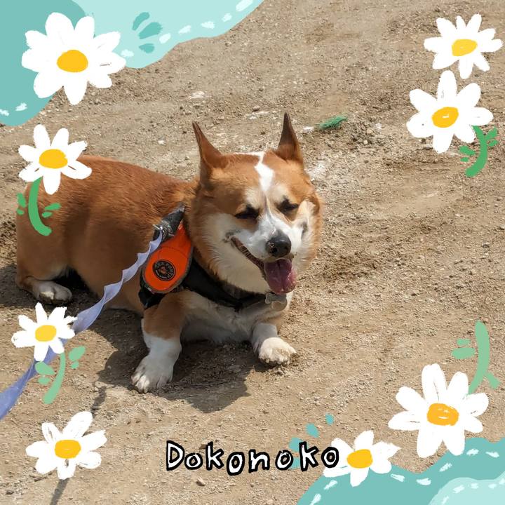 7c2126f5 8489 4156 b005 59075d39caf7 1712319091462