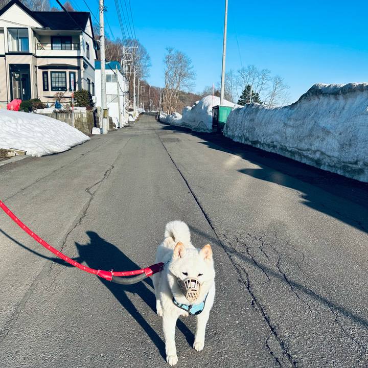 7c215b2c 22dd 458e bf4e 132afcfb6db8 1774477633812