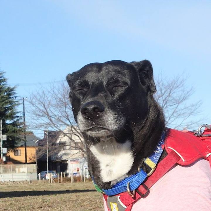 7c21eb20 a00c 476a 9506 f5d4b78f46a3 1671847243918